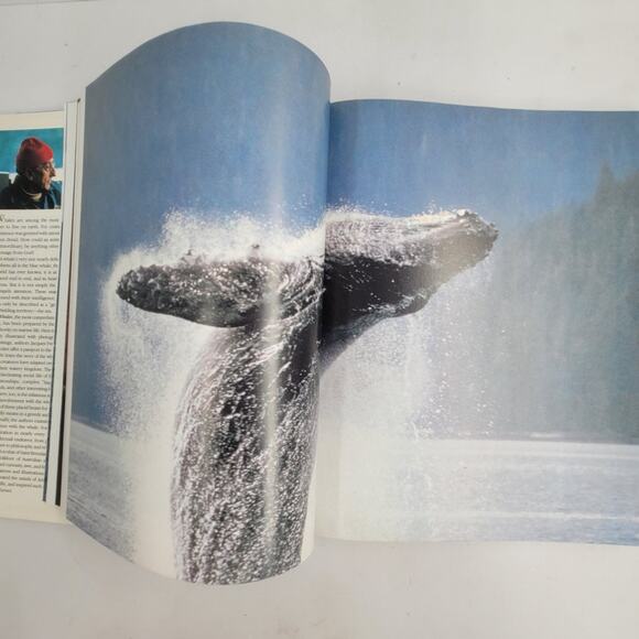 Jacques Cousteau Whales 1986 Hardcover Marine‎ Ocean Life Book Wildlife Photos - Picture 9 of 11